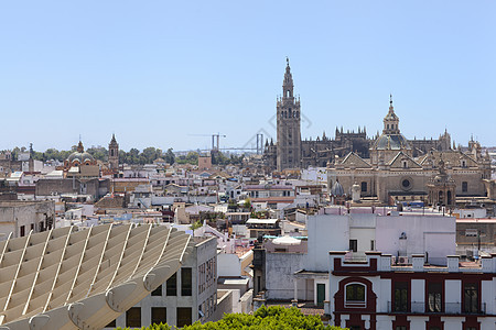 从的 Seville 视图中看到塞维利亚景观阳光化身艺术城市建筑学市中心阳伞大教堂教会图片