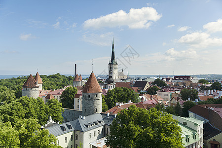 爱沙尼亚塔林的全景建筑街道天际地标市中心历史历史性大教堂首都教会图片