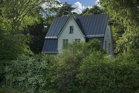北欧夏季之家 2016年 爱沙尼亚塔林绿色旅行大厦木头房子平房风格家庭建筑学窗户图片
