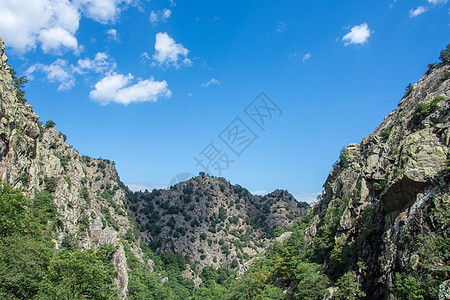 夏季发现东比利内斯岛 在仍然荒野的农场全景民谣联盟激流街道旅行堡垒村庄动物图片