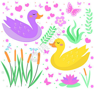可爱的鸭子设置对象 收集设计元素与芦苇水百合花植物 孩子们婴儿剪贴画有趣的微笑动物 它制作图案矢量图片
