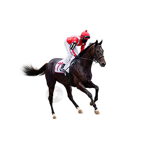 白色背景孤立的赛跑 背景 马匹 赛马剪裁竞赛速度涂层骑师体重黑色赛马场套装短跑图片