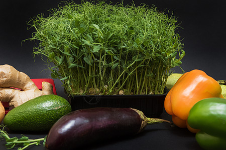 微绿芽胡椒食品粮食蔬菜草本植物种子厨房餐厅生态发芽图片