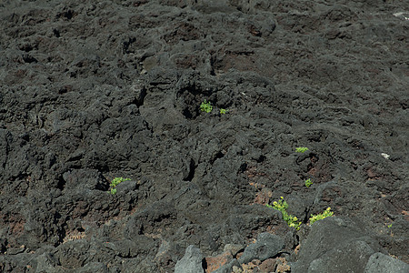 有绿色植物的黑火山地势石头群岛植物黑色环境葡萄园火山岩石地形土壤图片