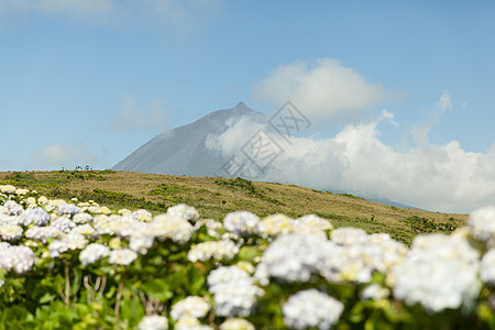 葡萄牙亚速尔群岛 有云的皮科山火山绣球花远景天空风景乡村蓝色绿色场地旅行图片