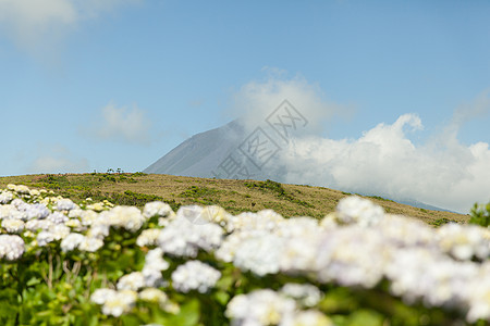 葡萄牙亚速尔群岛 有云的皮科山草地风景绣球花红色天空场地火山旅游乡村植被图片