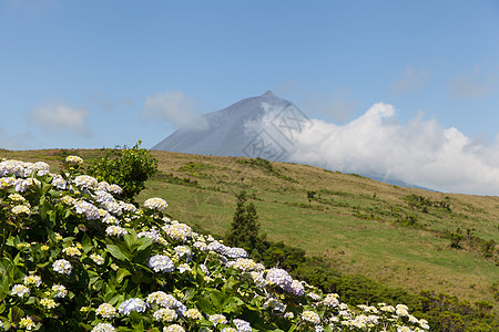 葡萄牙亚速尔群岛 有云的皮科山天空红色风景植被绿色场地乡村旅行绣球花火山图片