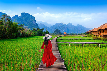 在老挝Vang Vieng带绿稻田的木路上行走的年轻妇女冒险旅游村庄旅行游客全景空气文化热带气球图片