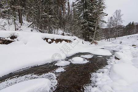 冬季森林中的山河流域图片