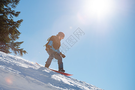 滑雪运动员在太阳尼日登上山峰的雪板 滑雪和冬季运动木板旅行季节乐趣行动单板娱乐下坡晴天森林图片