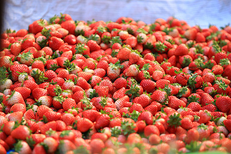 一组草莓正在出售 从新鲜采摘的草莓中打到地面图片