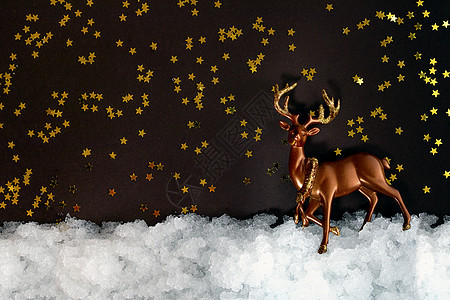 雪地和黑暗背景的迷性鹿 有闪亮星与复制空间 圣诞成份 明信片模板图片
