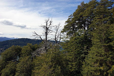巴里洛切 纳胡埃尔瓦皮国家公园四周观光镜子生态公园享受旅游国家岩石全景顶峰图片
