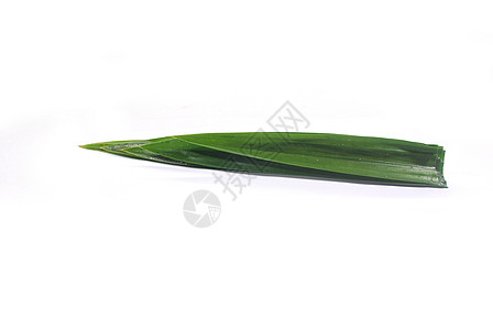 绿板叶叶治疗木头香气草本植物热带植物群树叶食物香味生长图片