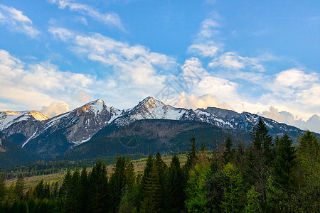 美丽的山景 - 喀尔巴阡山脉的全景 展示了奶牛吃草的距离 山喀尔巴阡山脉的夏天照片图片