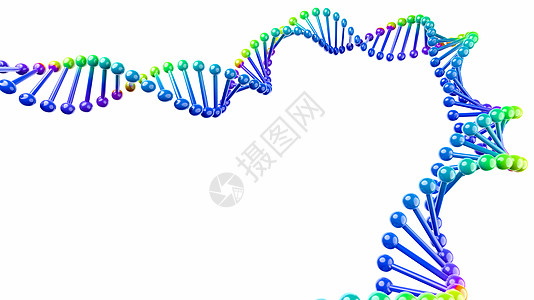 在白色背景上分离的 DNA 链插图代码遗传学螺旋基因组顺序科学图片