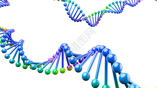 在白色背景上分离的 DNA 链螺旋遗传学基因组顺序代码插图科学图片