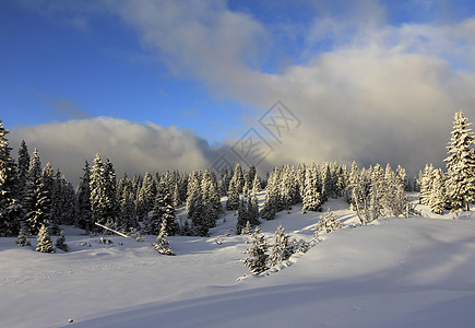 美丽的冬季风景和fir树运动季节滑雪白色森林蓝色太阳旅行天空假期图片