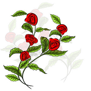 白色背景上有叶子和红玫瑰的树枝背景图片