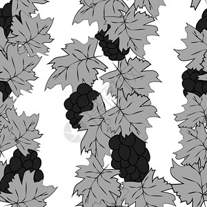 抽象串葡萄与白色背景上的叶子 一串带叶子的葡萄以素描风格绘制 无缝模式插图营养农业装饰品季节树叶花园藤蔓植物学葡萄园图片
