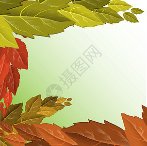 矢量秋天插画 美丽的树叶秋天季节性背景图案 秋天树向量 自然插画黄色插图植物环境花园墙纸森林活力红色季节图片