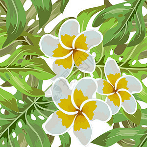无缝的热带花卉 热带花卉和丛林棕榈 美丽的织物图案与背景上的热带花卉 无缝图案背景的花鸡蛋花叶子装饰品墙纸打印木槿动物植物情调插图片