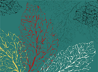 秋叶设计用于任何目的 用于墙纸设计的红色秋叶背景图案橡木插图植物学植物群卡片橙子环境森林公园季节背景图片