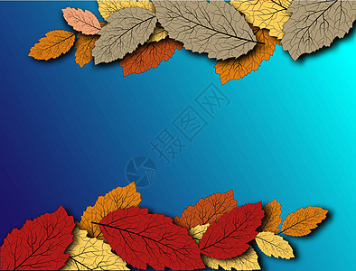 秋叶设计用于任何目的 用于墙纸设计的红色秋叶背景图案植物学公园植物群艺术卡片植物橡木框架花园环境图片