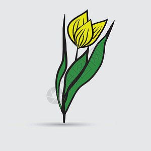 黄色郁金香插图生长脆弱性植物植物群叶子装饰庆典花园风格图片