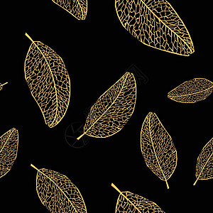 秋天的树叶无缝钢管橡木框架植物黄色橙子横幅感恩季节蓝色插图图片