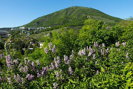 来自Pyatigorsk 的马希克山视图图片