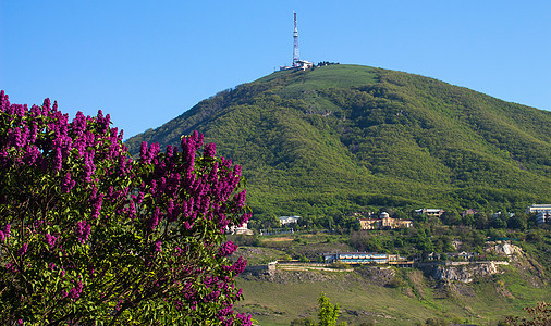 来自Pyatigorsk的马舒克大山绿色花朵森林植物都市蓝色风景地方场景生活方式图片