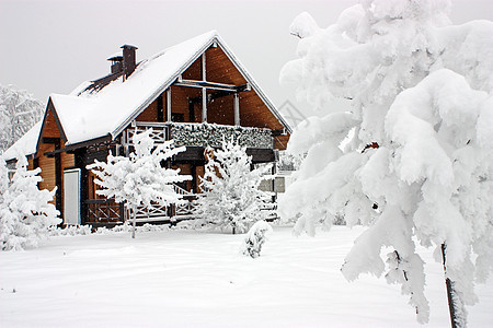 冬季风景森林乡村场景季节小屋公园白色房子建筑学木头图片