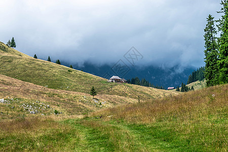 罗马尼亚的美丽的山脉和丘陵景观农村天空环境森林国家旅游草地荒野树木风景图片