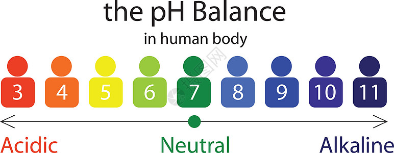 pH值平衡炭信息科学测试插图安全碱性测量健康饮食控制图表图片