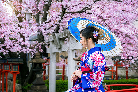 在日本京都寺庙的春天 身着日本传统和服和樱花的亚洲妇女旅行植物女性衣服裙子樱花女孩女士文化花园图片