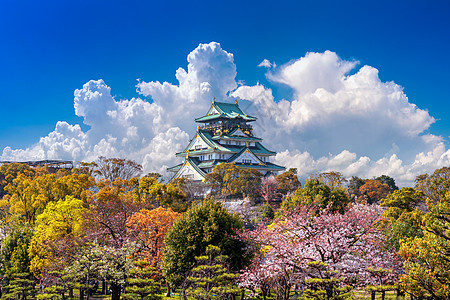 在日本大阪的樱花和城堡季节旅游蓝色建筑学遗产天空宝塔花园旅行观光图片