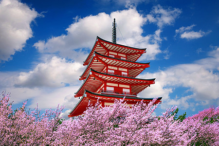 红塔和樱花 在日本春天神社花园旅行文化季节地标寺庙天空宝塔建筑学图片