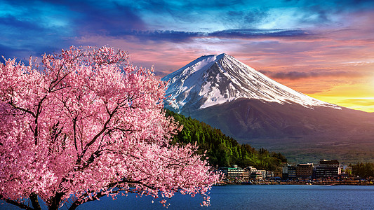 樱桃水日本春天的藤山和樱花盛开公吨游客季节全景天空日落地标风景天际火山背景