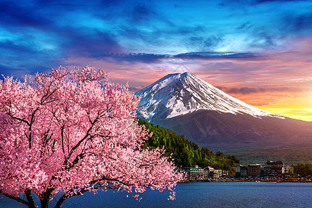 日本春天的藤山和樱花盛开季节旅行节日游客日落观光火山天际天空蓝色图片