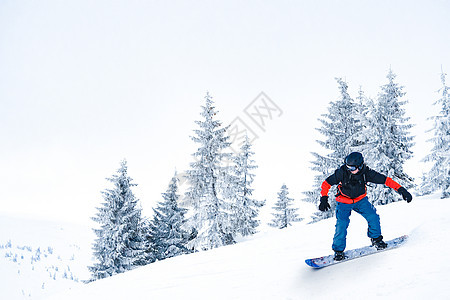 滑雪运动员在山丘Fir树附近的斜坡上骑雪雪板 滑雪和冬季运动概念图片