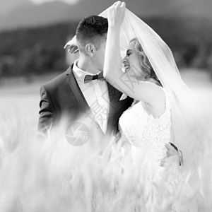 在斯洛文尼亚乡村的小麦田中风吹亮面纱时 Groom 拥抱新娘温柔一点女孩男人微笑婚姻婚礼领结奢华夫妇幸福快乐图片