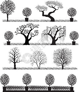 树木休光图叶子艺术白色绘画夹子树干黑色植物木头森林图片