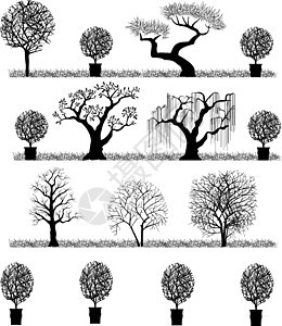 矢量树松树绘画橡木森林公园树木土地夹子叶子植物图片