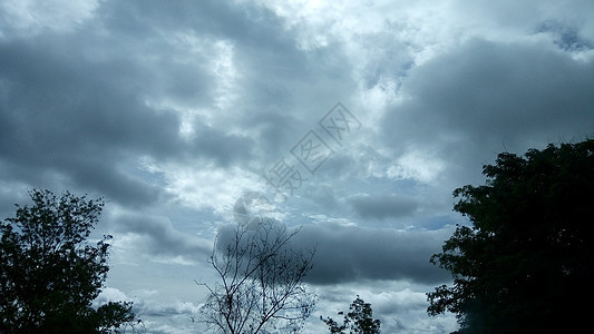 晚上在天空旅行多云树木天气全景蓝色风景森林风暴图片