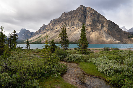 加拿大艾伯塔省班夫国家公园爬坡山峰目的地城市顶峰旅游山脉全景植物群岩石图片