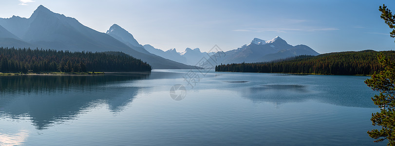 马里涅湖靠近贾斯帕附近 早晨心情好 艾伯塔 C全景水池山脉环境岩石旅游生境生物旅行顶峰背景图片