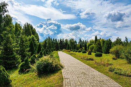 春天或夏日公园里阳光明媚的一天 自然背景草本植物土地国家美化日出场地天气风景蓝色公园图片