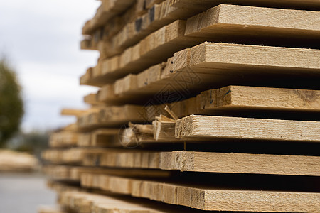 锯木厂木板上成堆的木板 在户外锯木厂锯木板的仓库 木坯建筑材料木木材堆栈 行业森林生产环境贮存材料铺板硬木商业加工松树图片