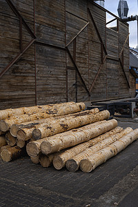 一堆原木躺在森林平台上 一个锯木厂 在锯木厂加工木材林业日志库存资源生态砍伐材料柴堆木头松树图片